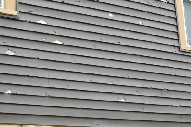 Best Siding Painting and Refinishing  in Severn, MD